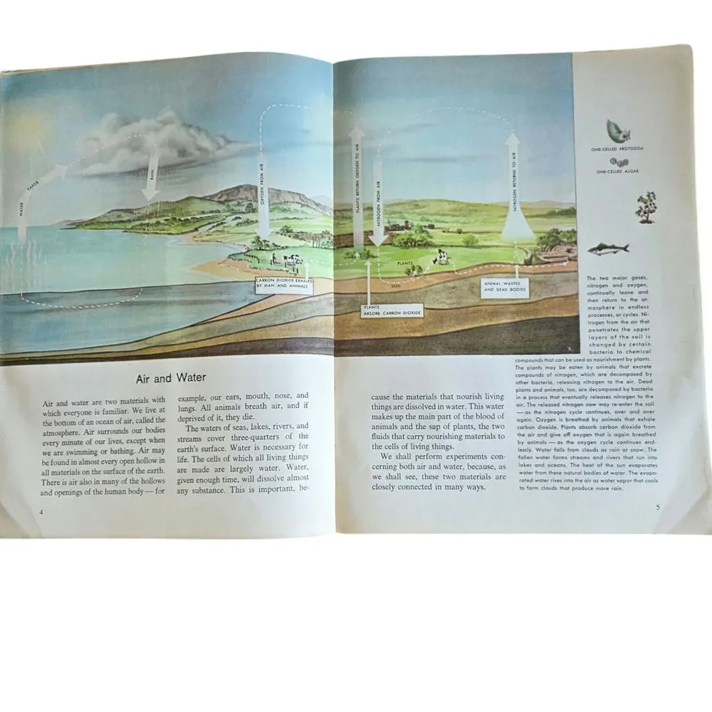 Vintage The How and Why Wonder Book of Science Experiments